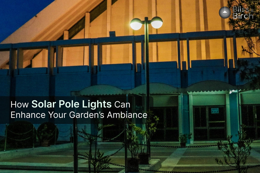 How Solar Pole Lights Can Enhance Your Garden’s Ambiance