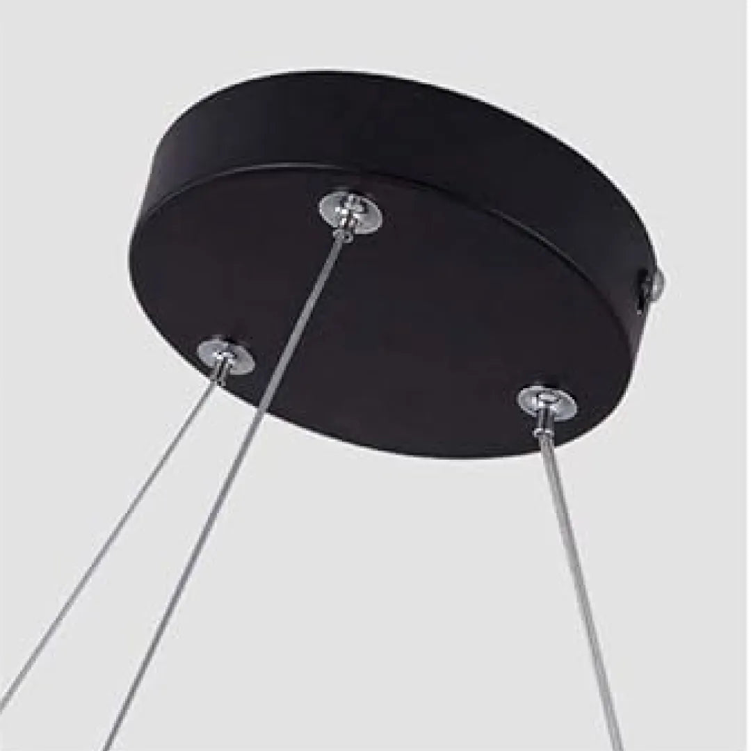 B&B Circular Ring Suspended LED Light