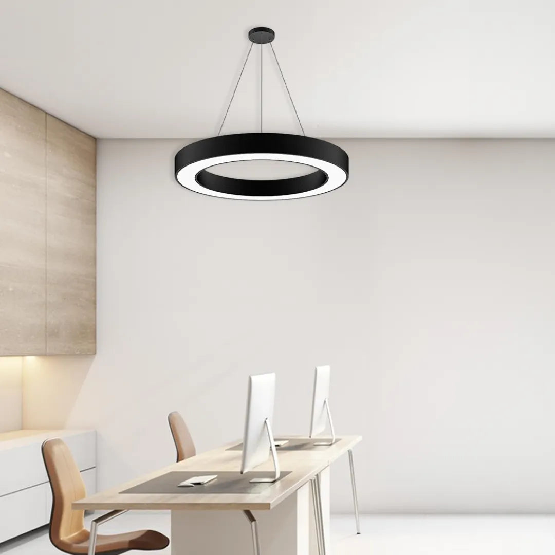 B&B Circular Ring Suspended LED Light