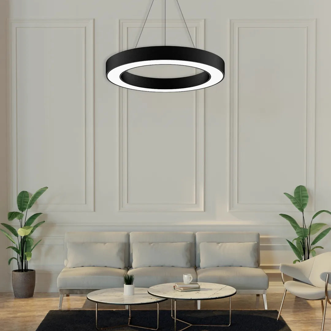 B&B Circular Ring Suspended LED Light