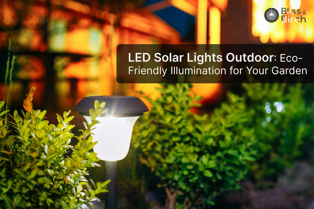 LED Solar Lights Outdoor: Eco-Friendly Illumination for Your Garden – Bliss & Birch Luxury Lighting Guide