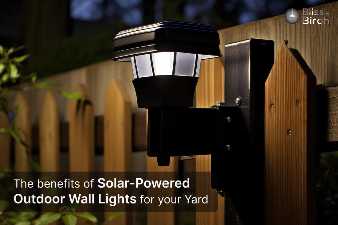 The Benefits of Solar-Powered Outdoor Wall Lights for Your Yard – Bliss & Birch Luxury Lighting Guide