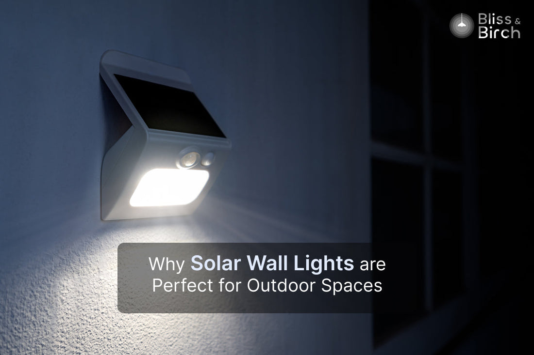 Why Solar Wall Lights Are Perfect for Outdoor Spaces – Bliss & Birch Luxury Lighting Guide