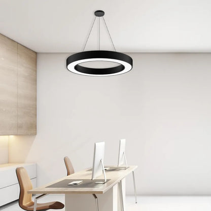 B&B Circular Ring Suspended LED Light
