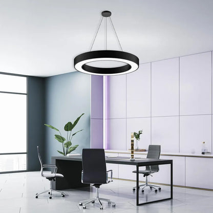 B&B Circular Ring Suspended LED Light