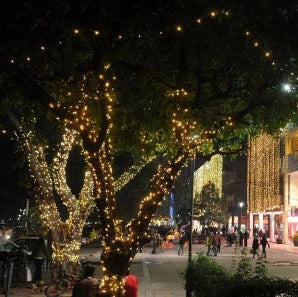 B&B LED Decorative String Lights (10m) – Pack of 10