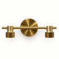 Antique brass modular mirror light